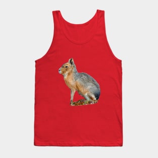 Mara or Patagonian Hare Tank Top